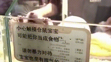 凭自己的努力让身价涨到了150块!